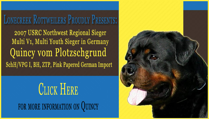 Quincy
